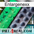 Enlargenexx new04